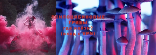 apvp Алексин