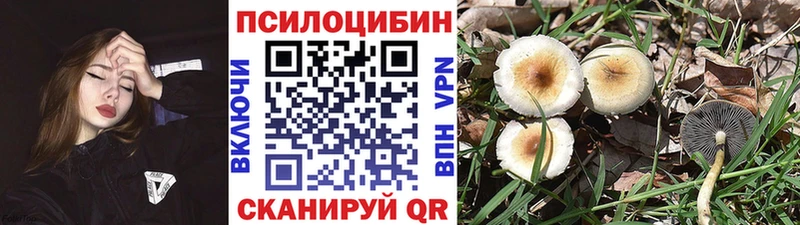 Псилоцибиновые грибы Magic Shrooms  Славск 